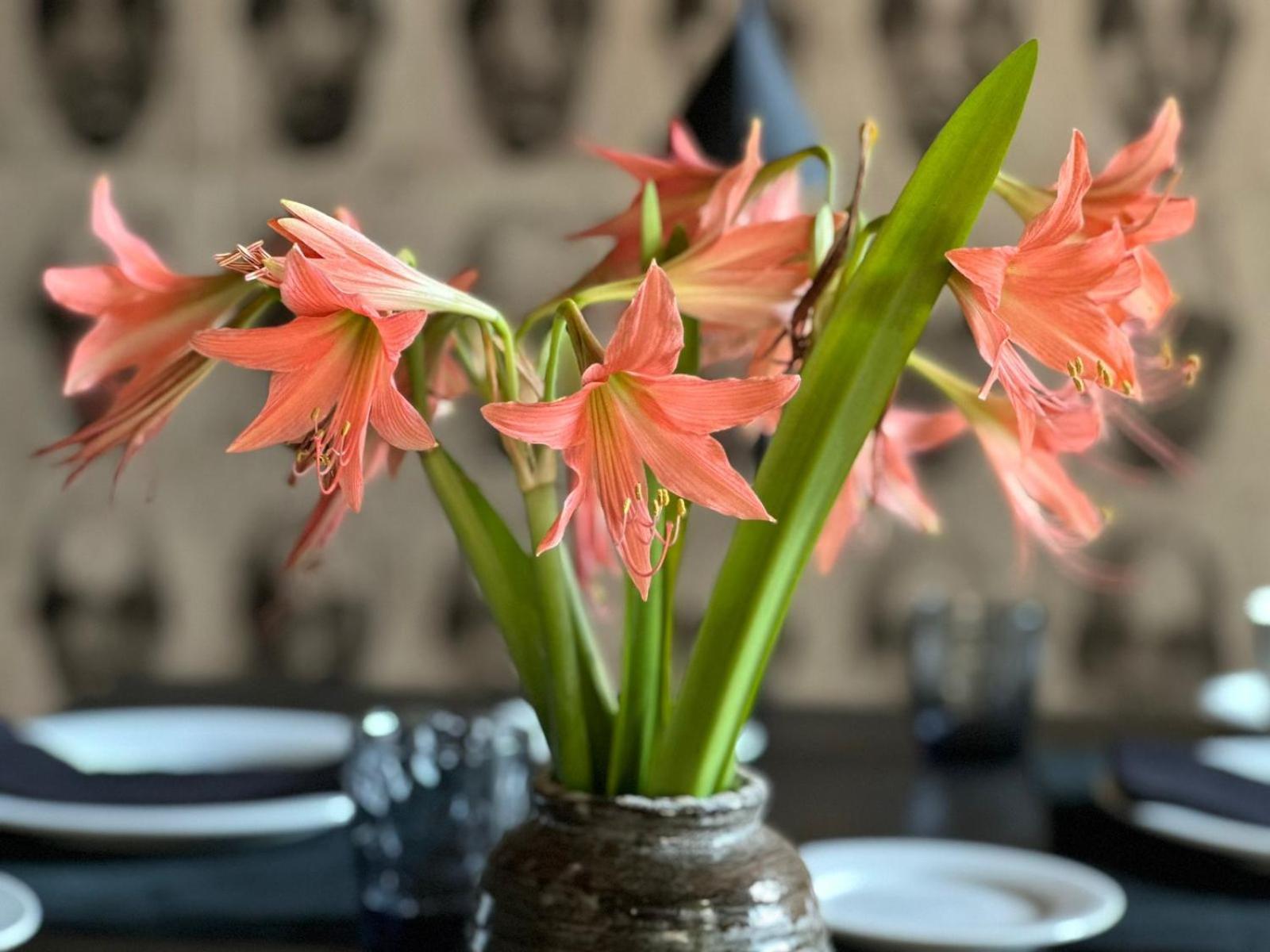 Saffron Robes Living Hotel Хикадува Екстериор снимка